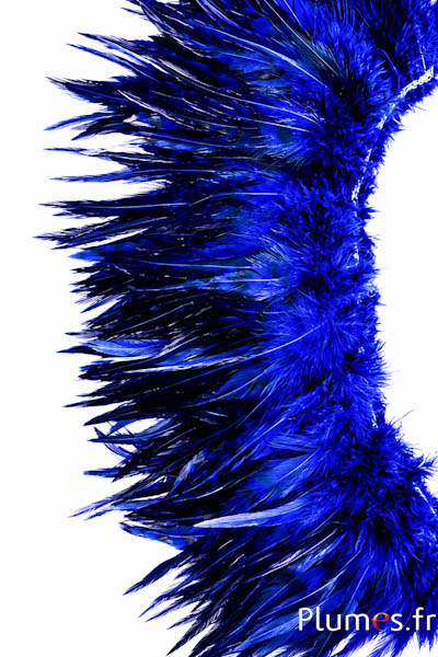Frangia gallo - lungo. piume 10-15 cm - blu